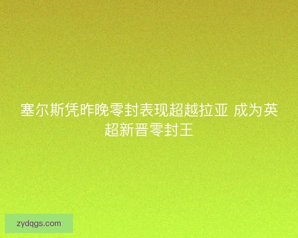 塞尔斯凭昨晚零封表现超越拉亚 成为英超新晋零封王